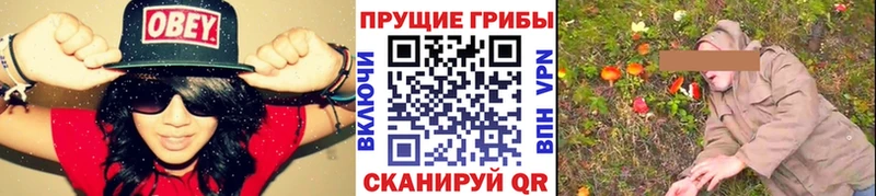 Псилоцибиновые грибы MAGIC MUSHROOMS  цены наркотик  Любань 
